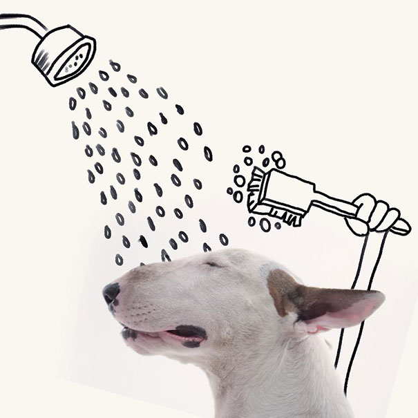 ilustraciones-interactivas-perro-jimmy-choo-rafael-mantesso (20)