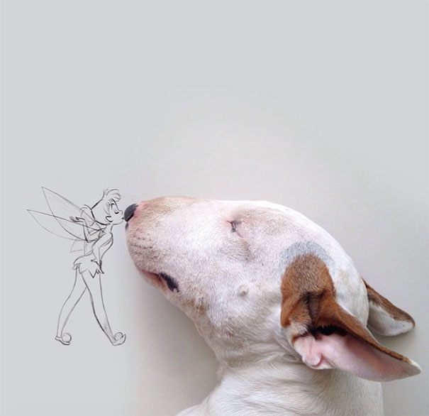 ilustraciones-interactivas-perro-jimmy-choo-rafael-mantesso (3)