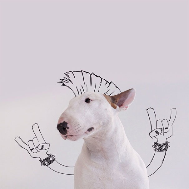 ilustraciones-interactivas-perro-jimmy-choo-rafael-mantesso (4)
