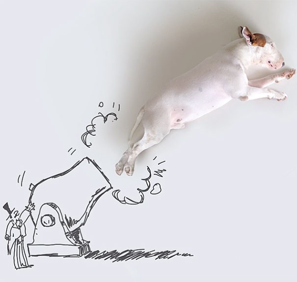 ilustraciones-interactivas-perro-jimmy-choo-rafael-mantesso (6)