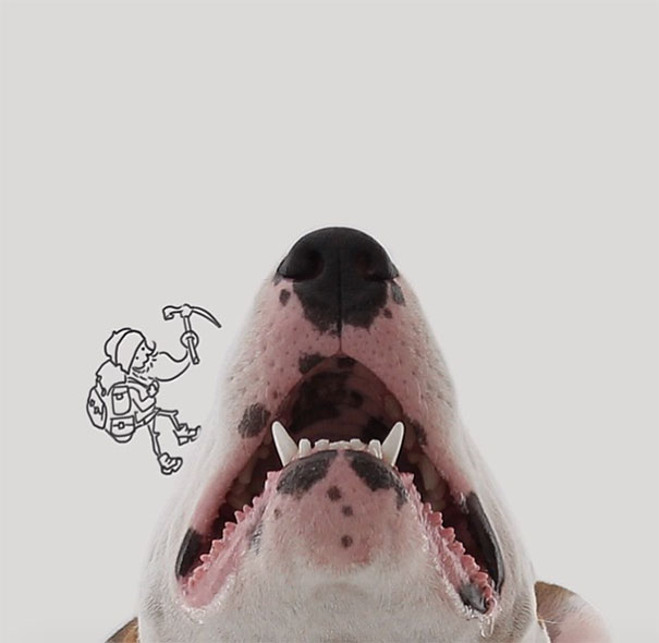 ilustraciones-interactivas-perro-jimmy-choo-rafael-mantesso (7)