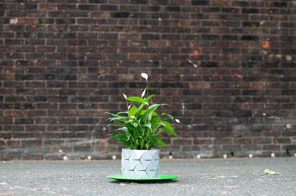 maceta-origami-plantas-crecimiento-studio-ayaskan (1)