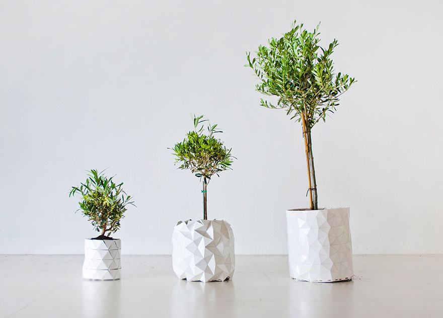 maceta-origami-plantas-crecimiento-studio-ayaskan (5)