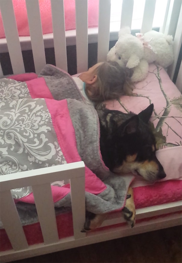 nina-perro-adoptado-durmiendo-juntos-cuna (1)