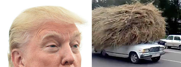 parecidos-razonables-donald-trump (12)