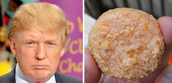 parecidos-razonables-donald-trump (14)