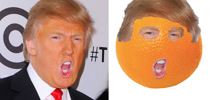 parecidos-razonables-donald-trump (16)