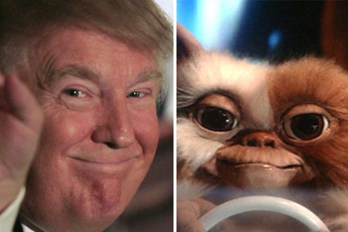 parecidos-razonables-donald-trump (18)