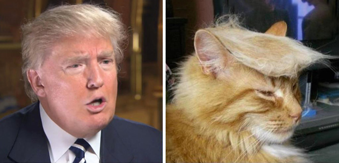 parecidos-razonables-donald-trump (6)