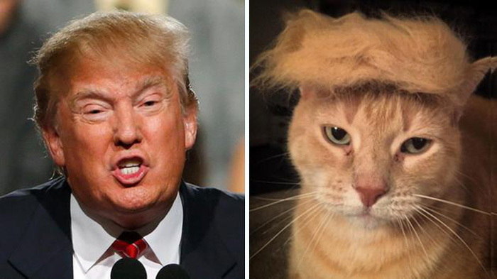 parecidos-razonables-donald-trump (7)
