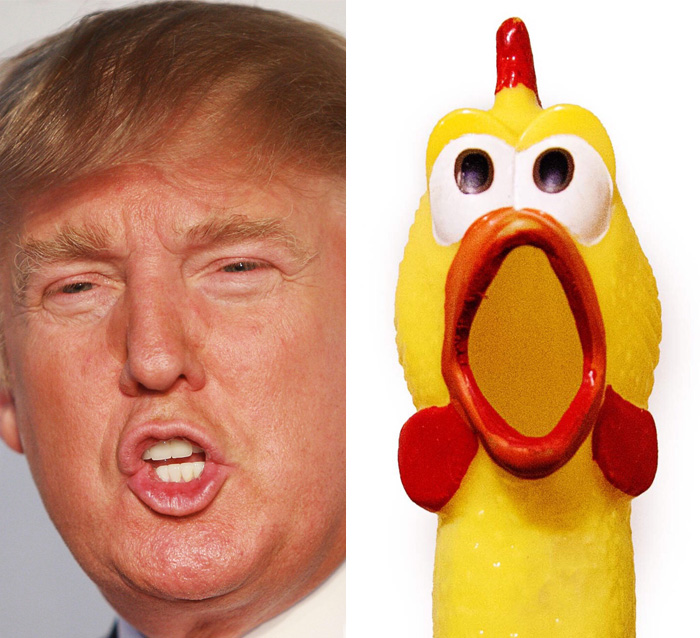 parecidos-razonables-donald-trump (9)