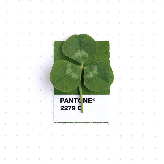 parejas-objetos-cotidianos-muestras-color-pantone-pms-inka-mathews (1)