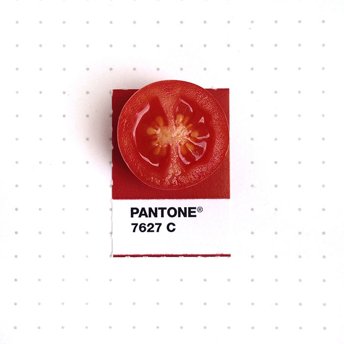 parejas-objetos-cotidianos-muestras-color-pantone-pms-inka-mathews (12)