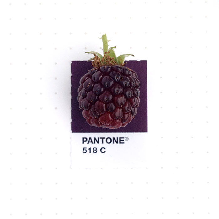 parejas-objetos-cotidianos-muestras-color-pantone-pms-inka-mathews (13)