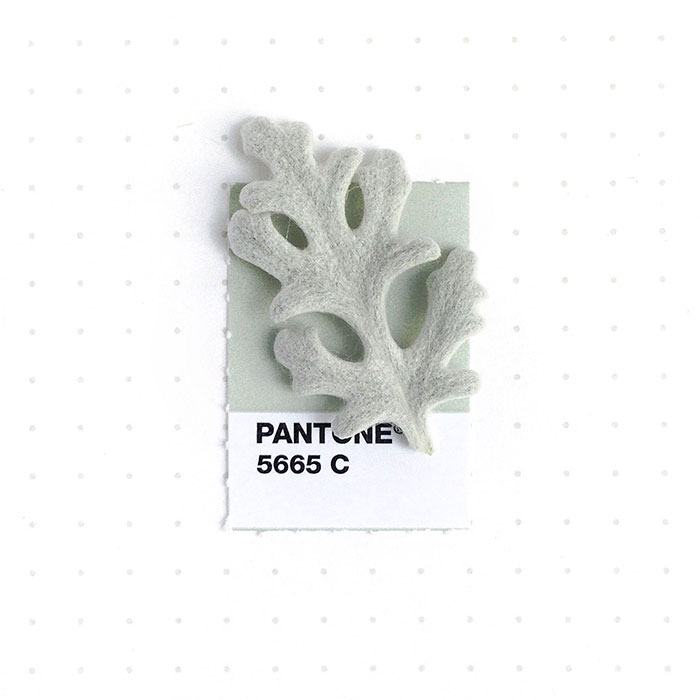 parejas-objetos-cotidianos-muestras-color-pantone-pms-inka-mathews (17)