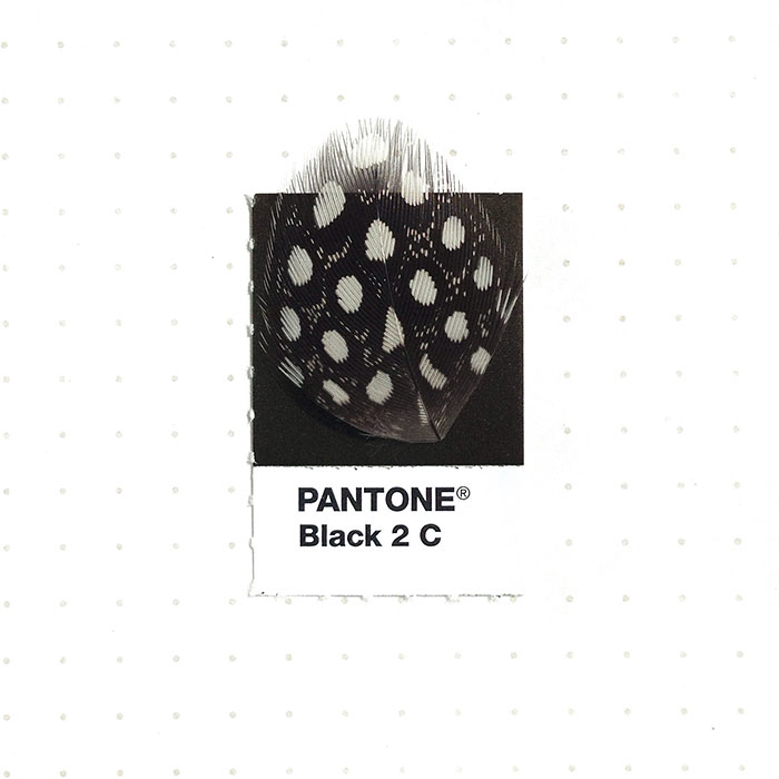 parejas-objetos-cotidianos-muestras-color-pantone-pms-inka-mathews (19)