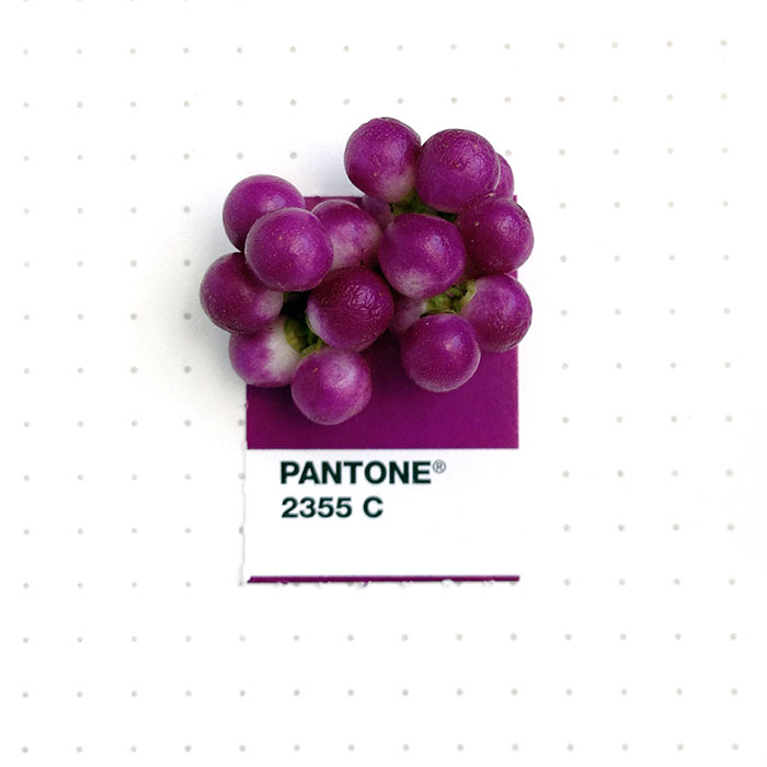 parejas-objetos-cotidianos-muestras-color-pantone-pms-inka-mathews (2)