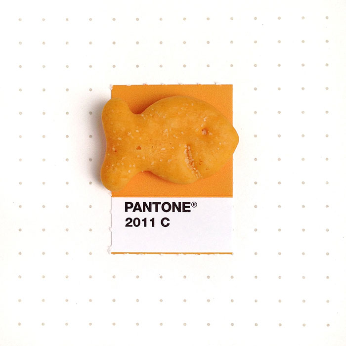 parejas-objetos-cotidianos-muestras-color-pantone-pms-inka-mathews (5)