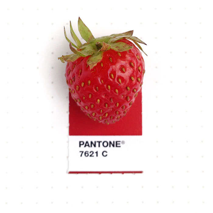 parejas-objetos-cotidianos-muestras-color-pantone-pms-inka-mathews (6)