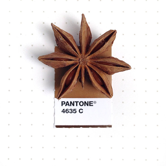 parejas-objetos-cotidianos-muestras-color-pantone-pms-inka-mathews (9)