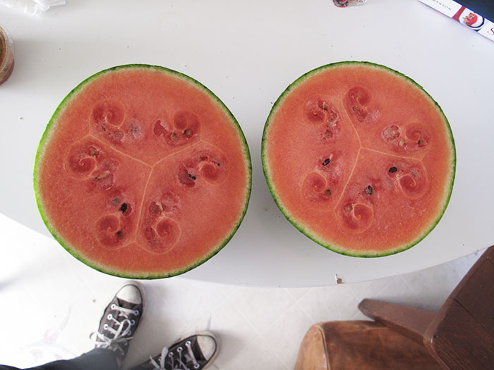 sandias-corazon-hueco-formas-curiosas (1)