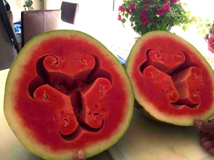 sandias-corazon-hueco-formas-curiosas (2)