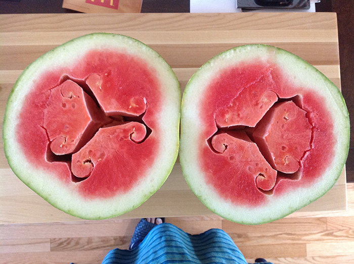 sandias-corazon-hueco-formas-curiosas (4)