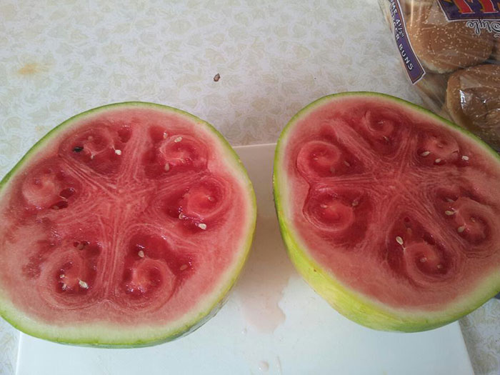 sandias-corazon-hueco-formas-curiosas (5)