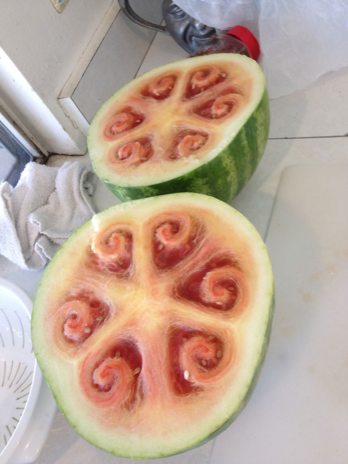 sandias-corazon-hueco-formas-curiosas (6)