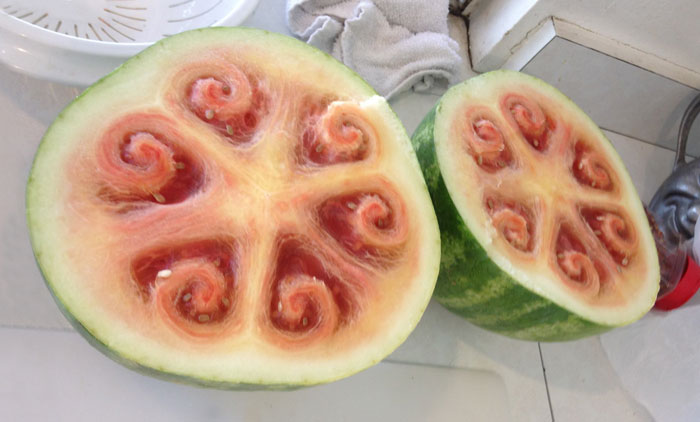 Estos bonitas formas dentro de las sandías están volviendo loco a todo el mundo