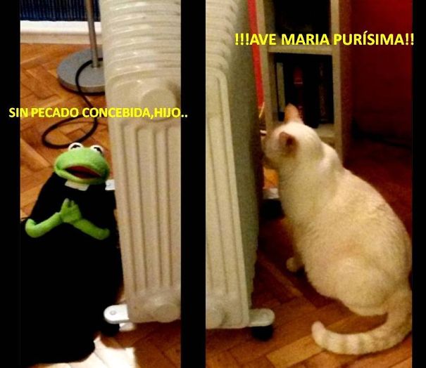 Gustavo & Familia