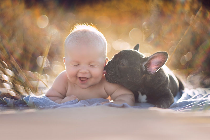 amistad-bebe-dilan-bulldog-farley-ivette-ivens (1)