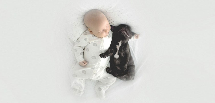 amistad-bebe-dilan-bulldog-farley-ivette-ivens (10)
