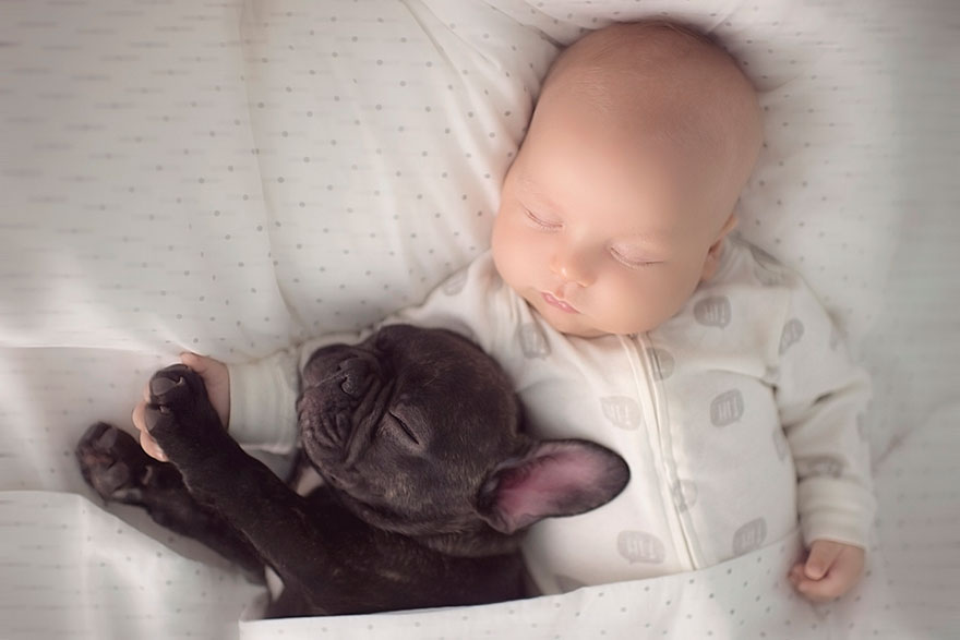 amistad-bebe-dilan-bulldog-farley-ivette-ivens (3)