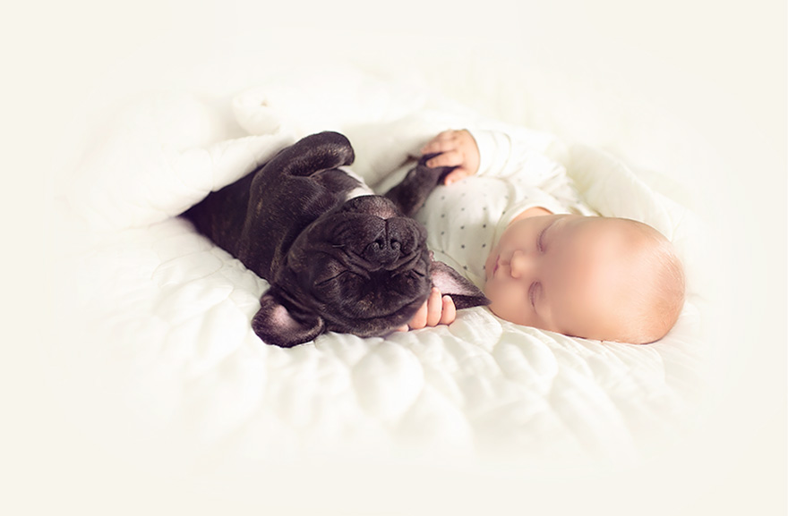 amistad-bebe-dilan-bulldog-farley-ivette-ivens (7)