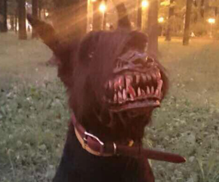 bozal-ruso-perros-licantropo (1)