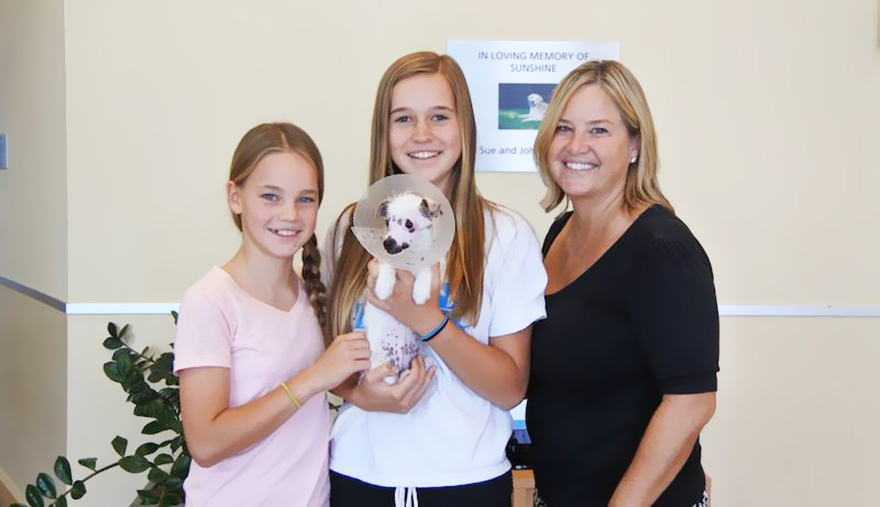 cachorro-perro-cicatrices-adoptado-hssv-christine-doblar (8)