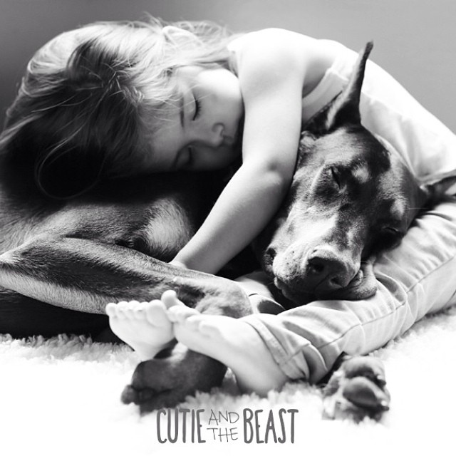 cutie-beast-nina-siena-perro-doberman-buddha (1)