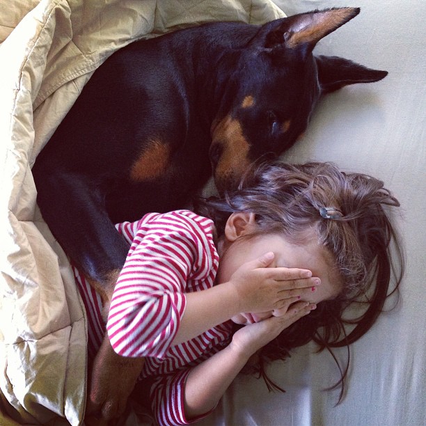 cutie-beast-nina-siena-perro-doberman-buddha (10)