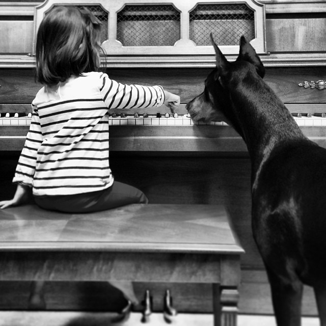 cutie-beast-nina-siena-perro-doberman-buddha (11)