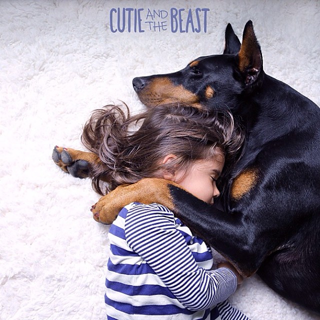 cutie-beast-nina-siena-perro-doberman-buddha (12)