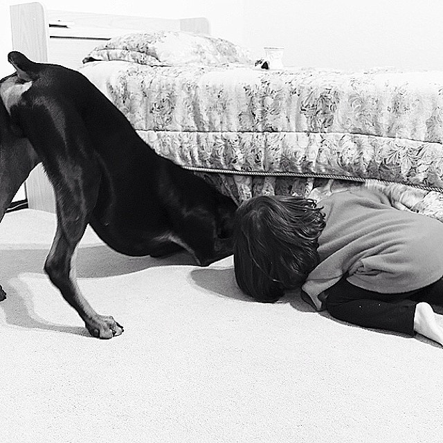 cutie-beast-nina-siena-perro-doberman-buddha (14)