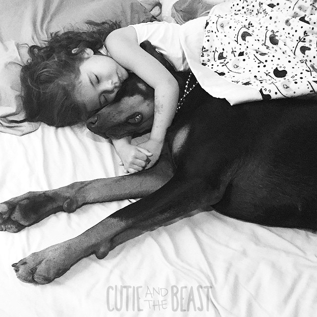 cutie-beast-nina-siena-perro-doberman-buddha (18)
