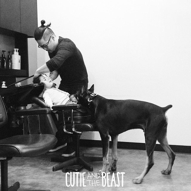 cutie-beast-nina-siena-perro-doberman-buddha (19)