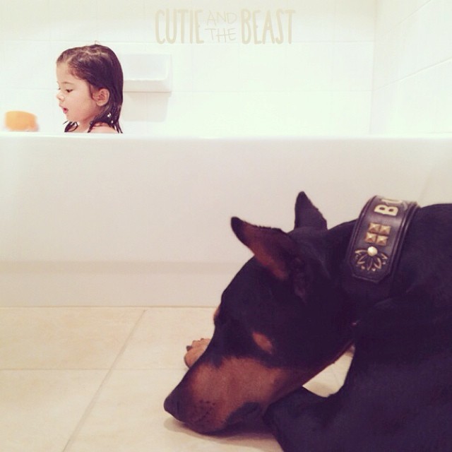 cutie-beast-nina-siena-perro-doberman-buddha (20)