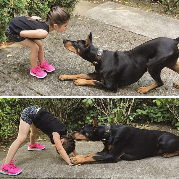cutie-beast-nina-siena-perro-doberman-buddha (22)