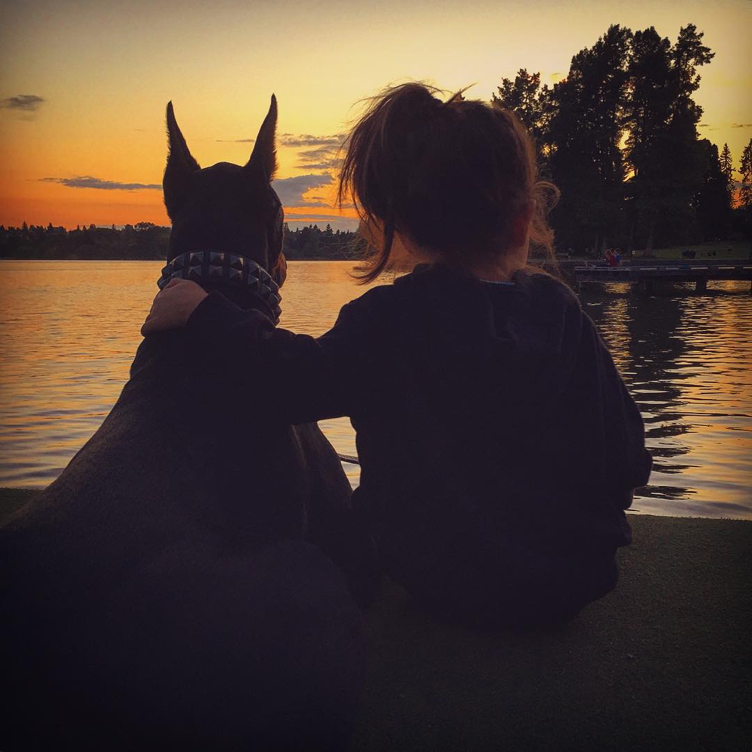 cutie-beast-nina-siena-perro-doberman-buddha (4)