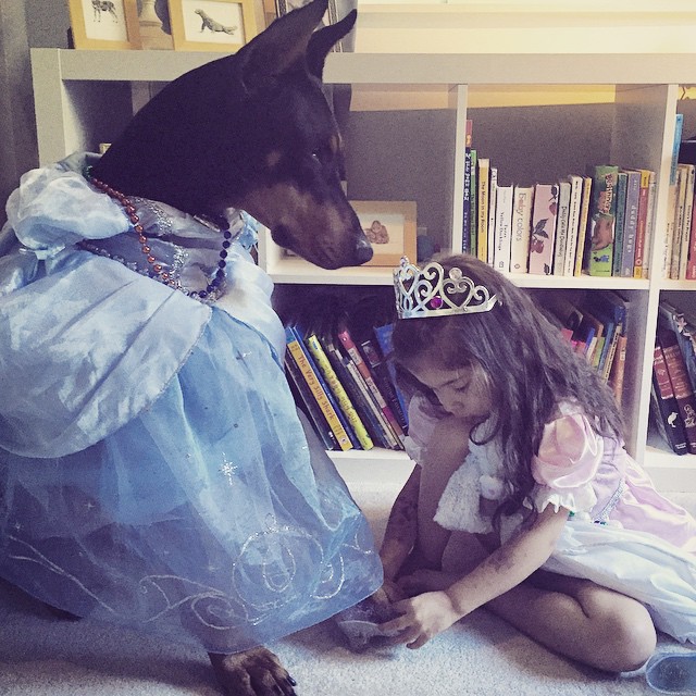 cutie-beast-nina-siena-perro-doberman-buddha (5)