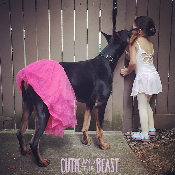 cutie-beast-nina-siena-perro-doberman-buddha (6)