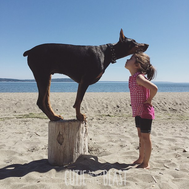 cutie-beast-nina-siena-perro-doberman-buddha (7)